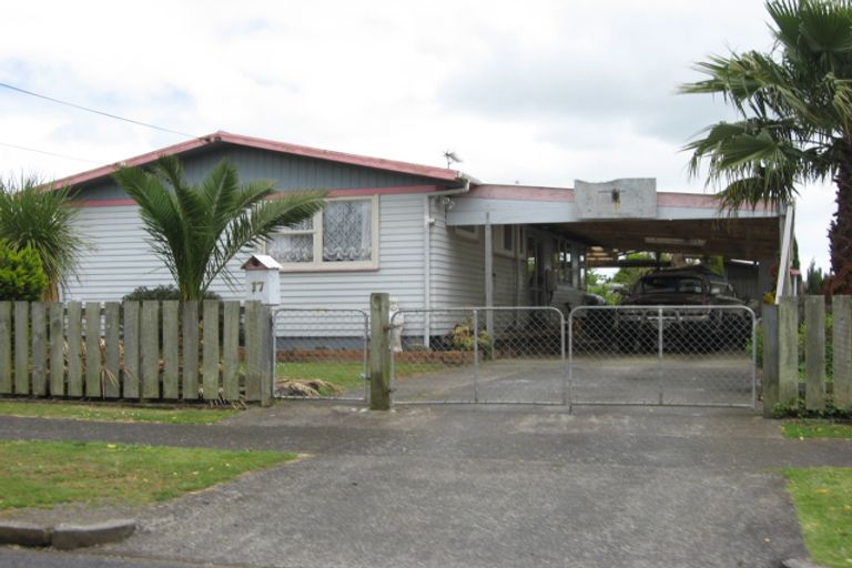 Photo of property in 17 Holland Street, Pukekohe, 2120