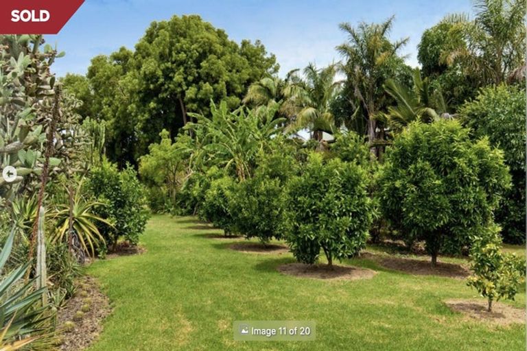 Photo of property in 166a Rimmer Road, Helensville, 0875