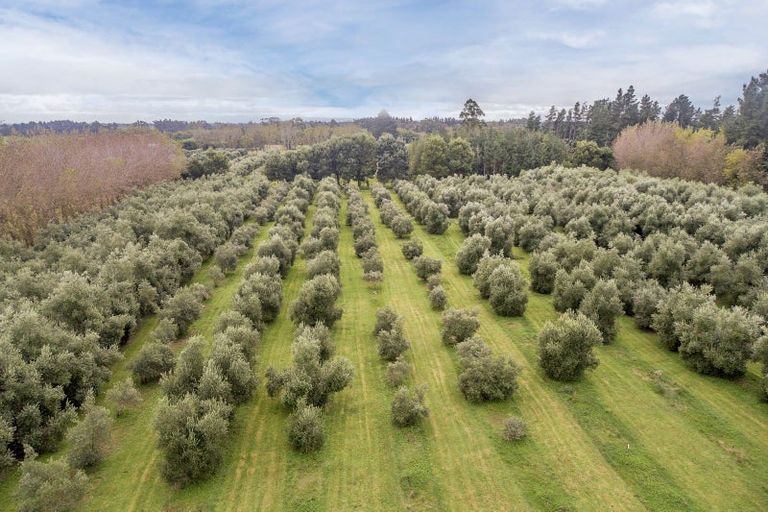 Photo of property in 62 Harrs Road, Swannanoa, Kaiapoi, 7692