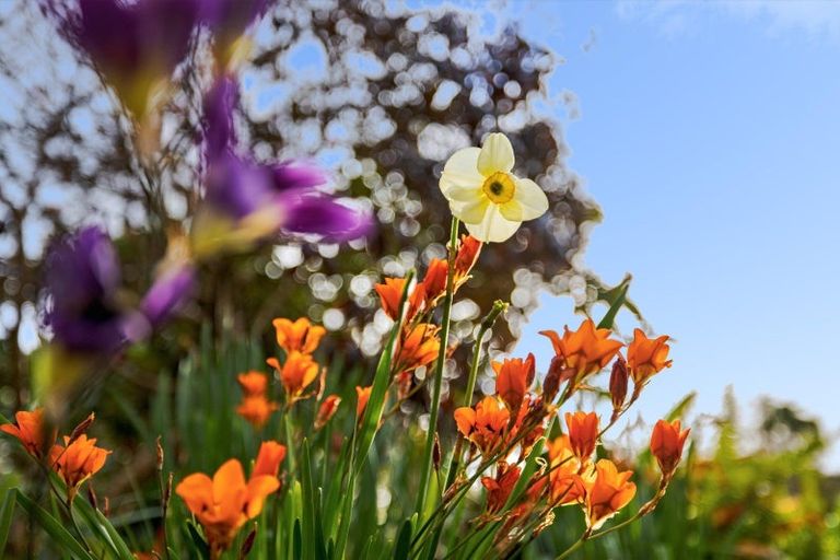 Photo of property in 43 Penmoral Lane, Lower Kaimai, Tauranga, 3171