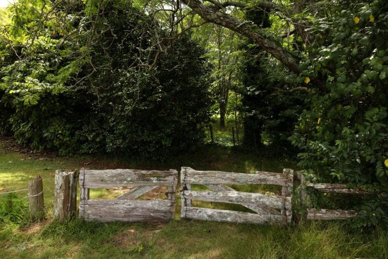 Photo of property in 12 Perkins Drive, Minden, Tauranga, 3176