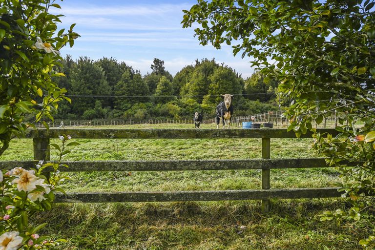 Photo of property in 18 Old State Mill Road, Mamaku, 3020