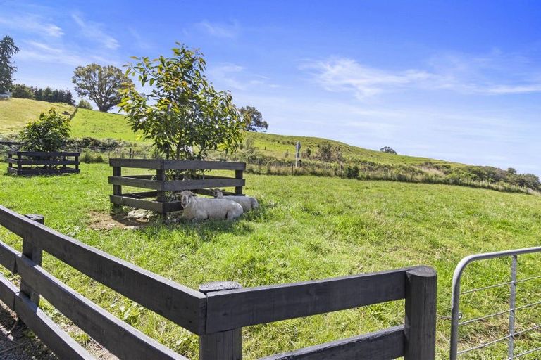 Photo of property in 125 Te Tahi Road, Puketotara, Te Awamutu, 3876