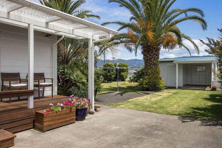 Photo of property in 26 Park Road, Katikati, 3129