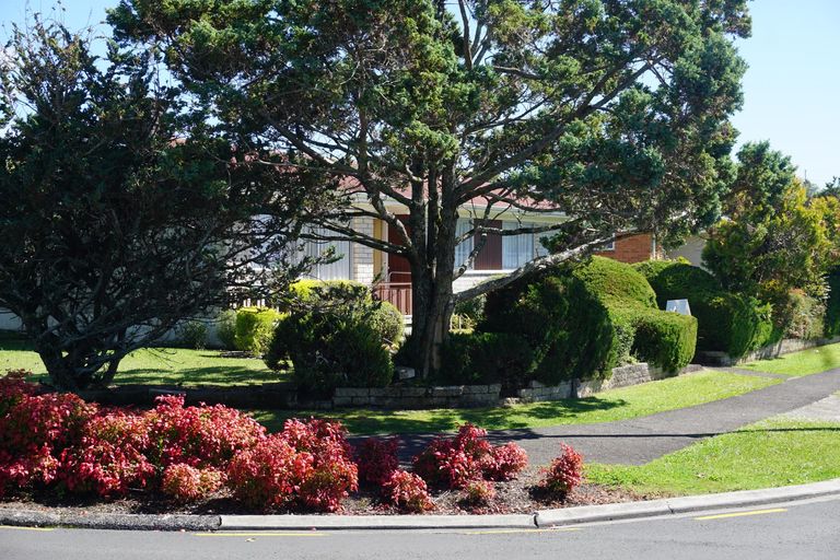 Photo of property in 1 Maple Avenue, Dinsdale, Hamilton, 3204