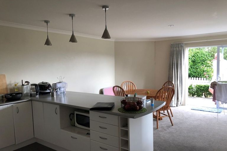 Photo of property in 59 Contour Avenue, Pyes Pa, Tauranga, 3112