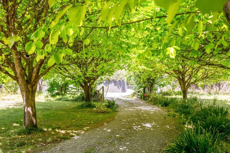 Photo of property in 56 Boundary Road, Upper Plain, Masterton, 5888