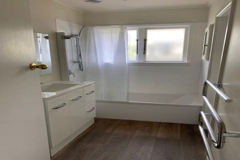 Photo of property in 77 Joy Street, Shirley, Christchurch, 8061