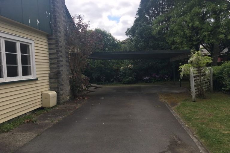 Photo of property in 15 Anglesea Street, Hamilton Central, Hamilton, 3204