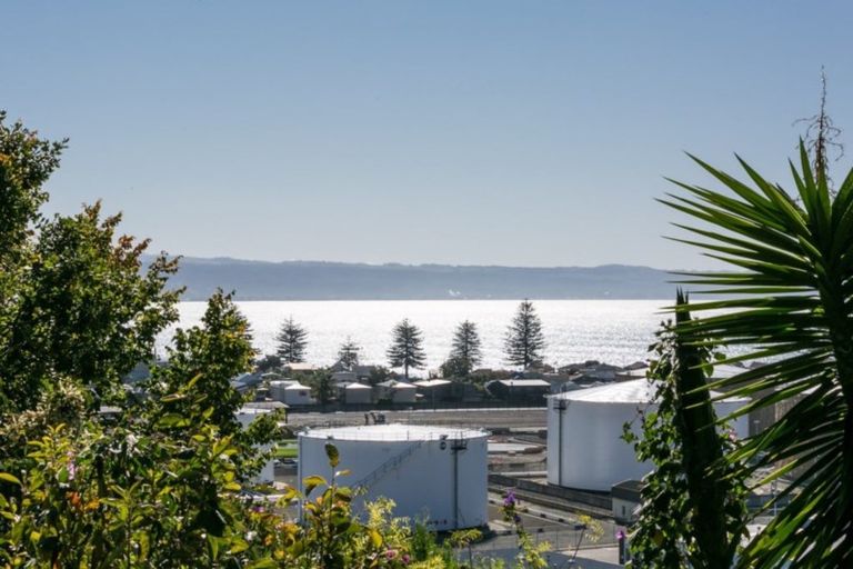 Photo of property in 129 Chaucer Road, Hospital Hill, Napier, 4110