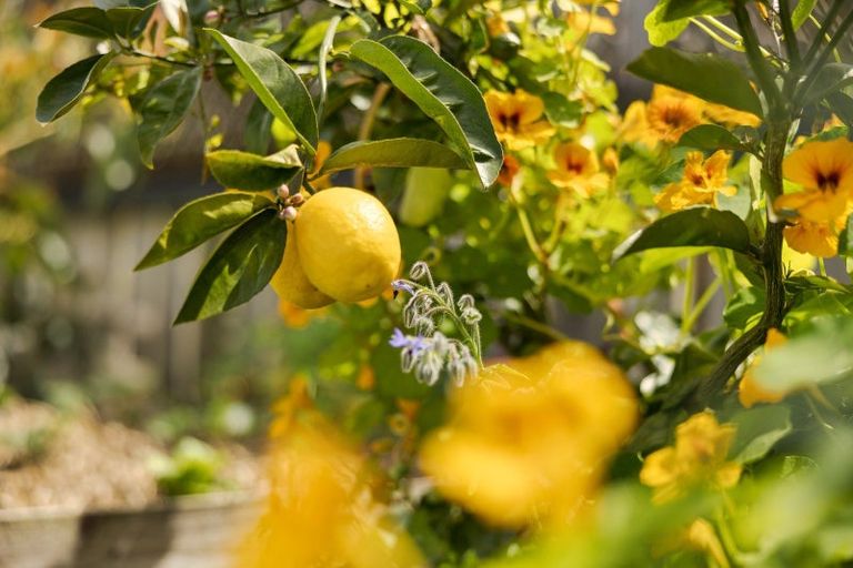 Photo of property in 3b Lumsden Street, Greerton, Tauranga, 3112