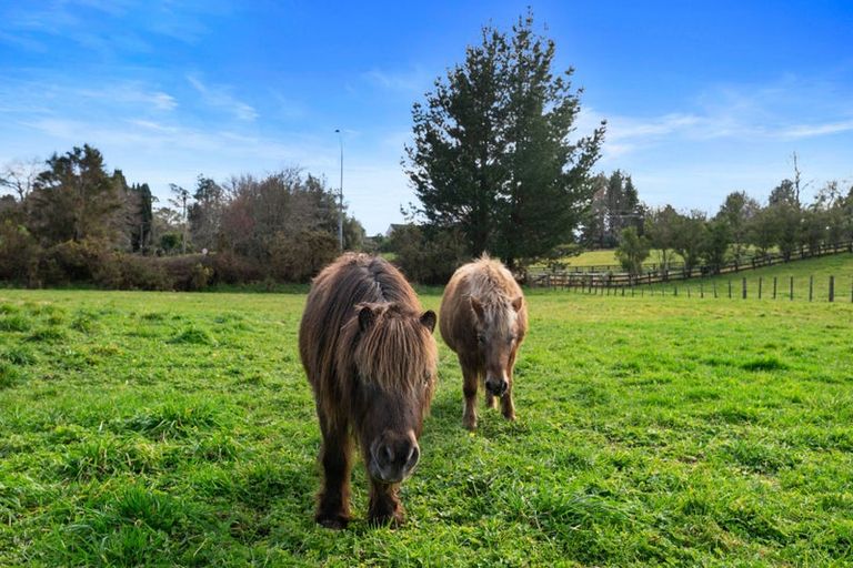 Photo of property in 7 Ascot Vale, Tikitere, Rotorua, 3074