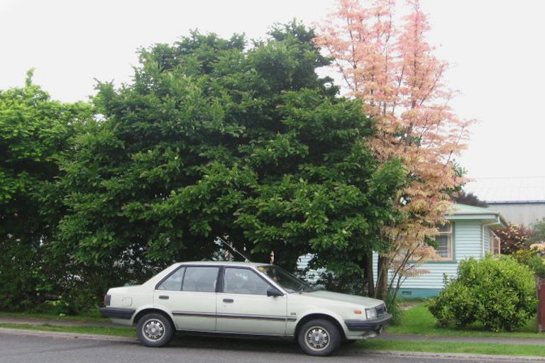 Photo of property in 14 Lee Avenue, Paeroa, 3600