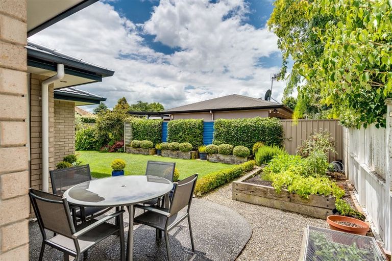 Photo of property in 609a York Street, Mahora, Hastings, 4120