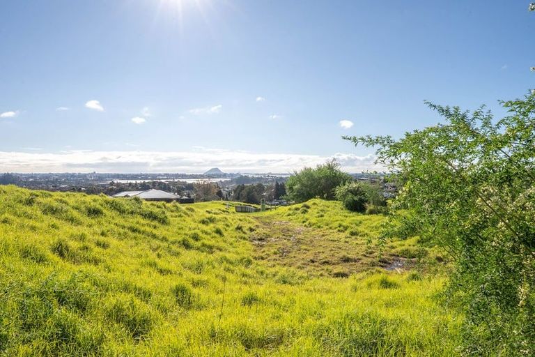 Photo of property in 99 Carmen Way, Ohauiti, 3112