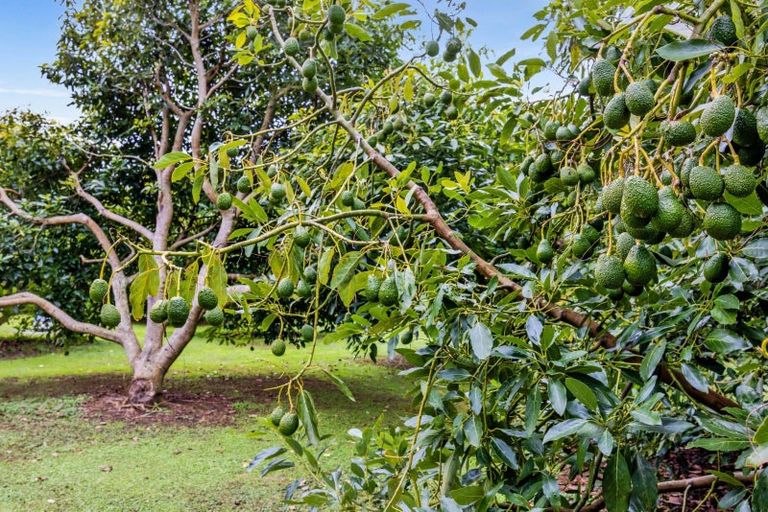 Photo of property in 515/513 Smart Road, Hillsborough, New Plymouth, 4372