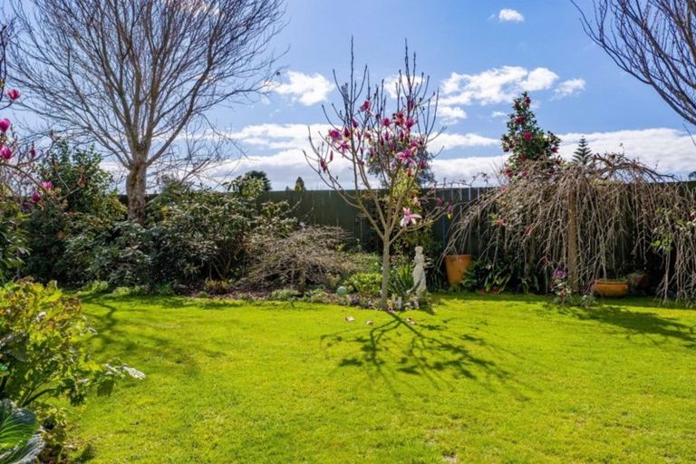 Photo of property in 14 Walnut Grove, Whakatane, 3120
