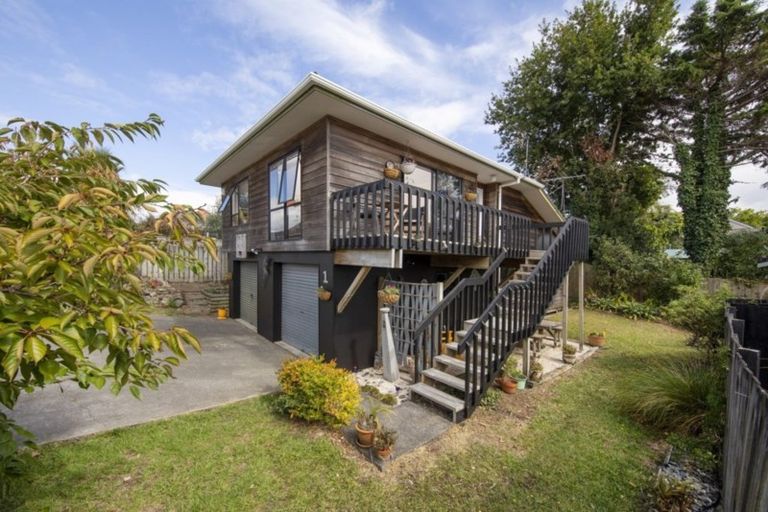 Photo of property in 1/105 Moa Road, Point Chevalier, Auckland, 1022