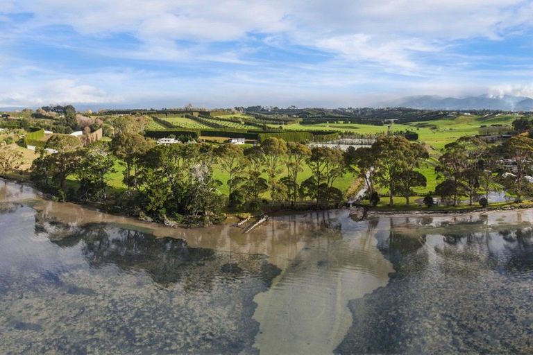 Photo of property in 50a Esplanade Road, Tahawai, Katikati, 3170