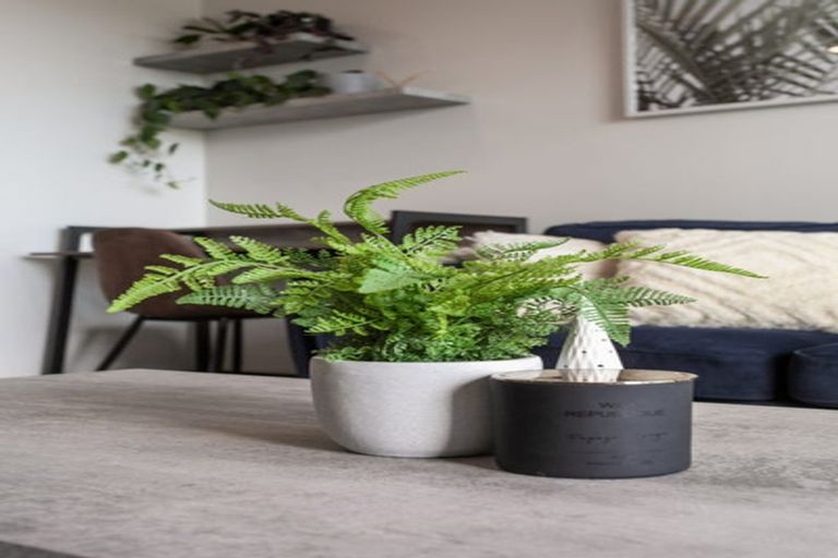 Photo of property in 205/38d Fraser Avenue, Northcote, Auckland, 0627