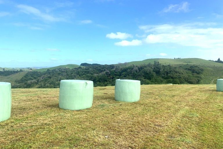 Photo of property in 261 Paparamu Road, Piarere, Tirau, 3484