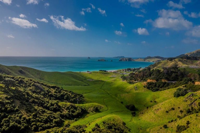 Photo of property in 2 Matapaua Bay Road, Opito Bay, Whitianga, 3592