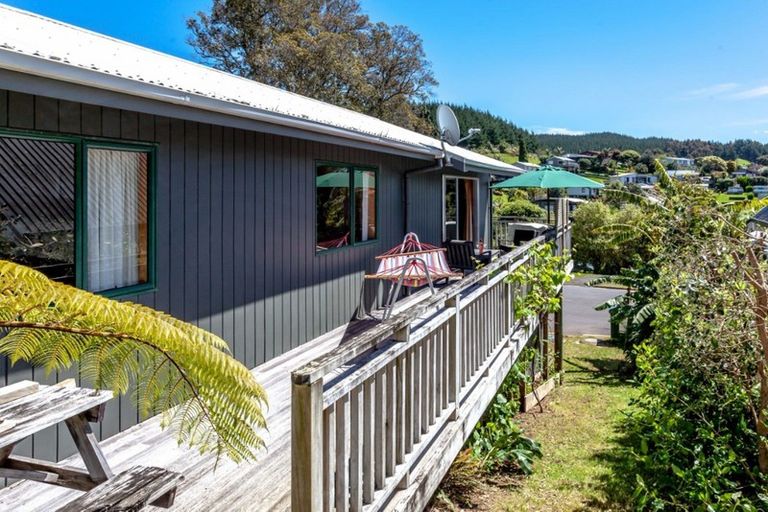 Photo of property in 113 The Grove, Onemana, Whangamata, 3691