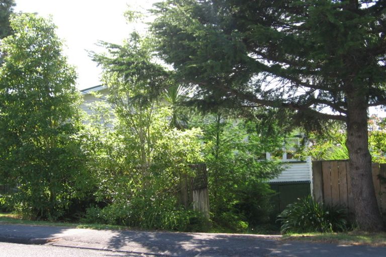 Photo of property in 45 Nikau Street, New Lynn, Auckland, 0600