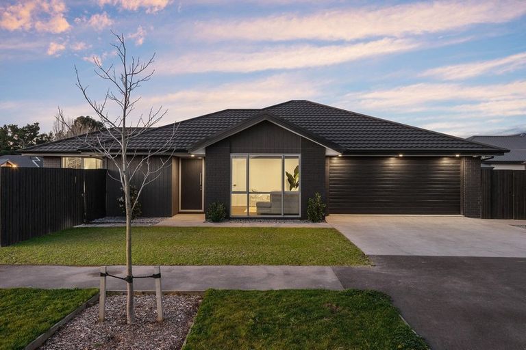 Photo of property in 17 Brusio Drive, Wigram, Christchurch, 8025
