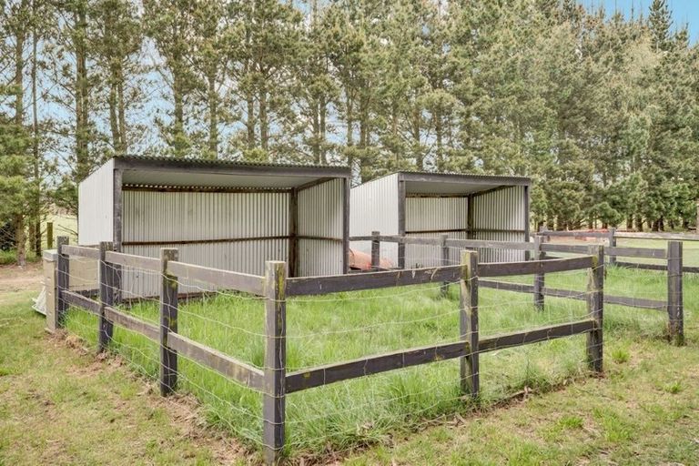 Photo of property in 286b Isaac Road, Eyrewell, Rangiora, 7476