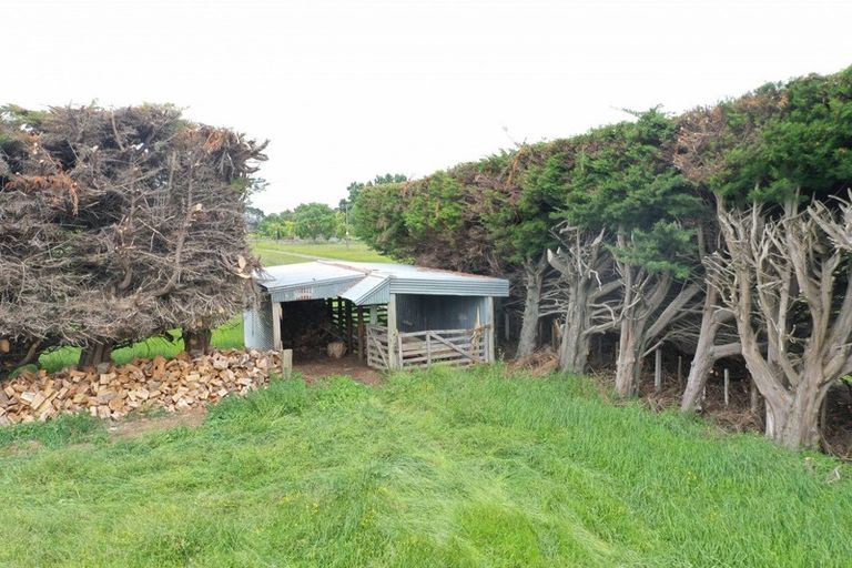 Photo of property in 1008 Cowper Road, Dannevirke, 4976