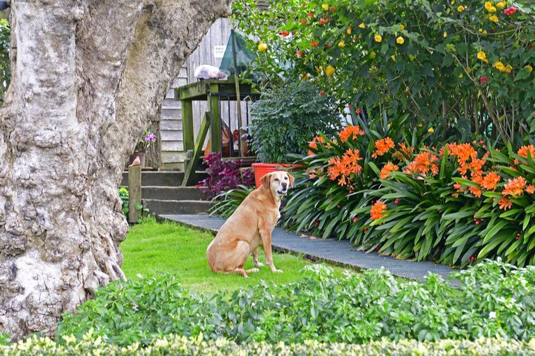 Photo of property in 11a Victoria Street, Warkworth, 0910