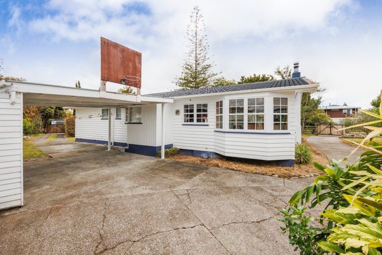 Photo of property in 45 Worcester Street, Ashhurst, 4810