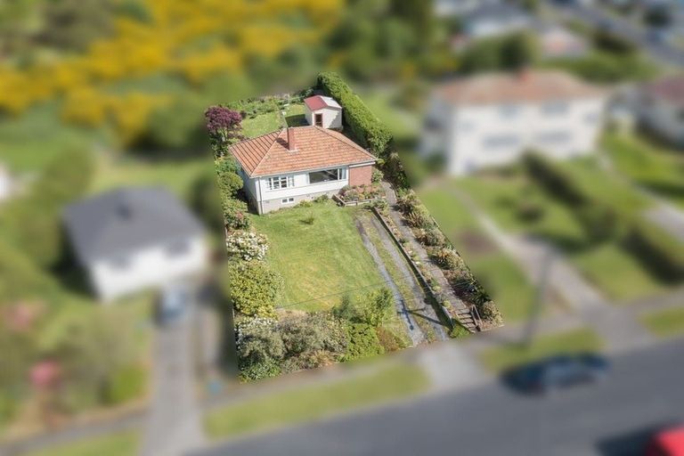 Photo of property in 115 Chapman Street, Wakari, Dunedin, 9010
