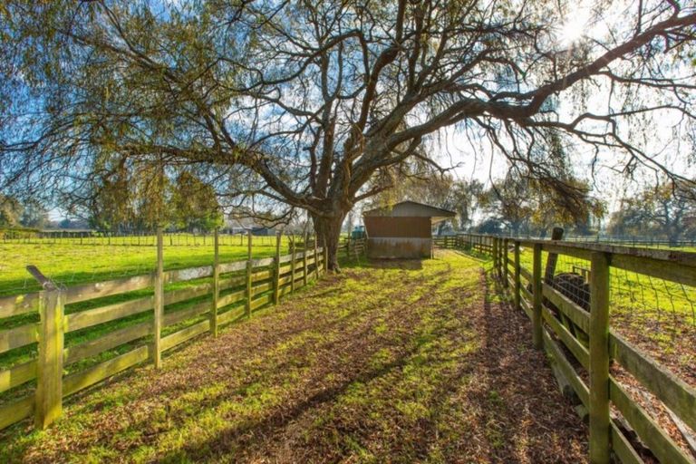Photo of property in 284 Raynes Road, Rukuhia, Hamilton, 3282