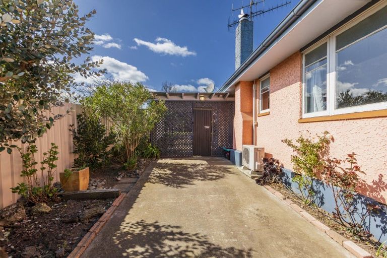 Photo of property in 45a Racecourse Road, Waipukurau, 4200