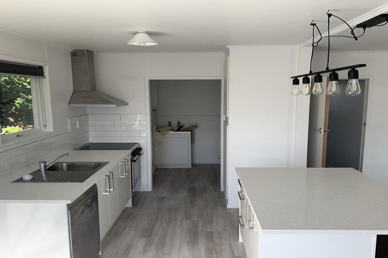 Photo of property in 55 Larnoch Road, Henderson, Auckland, 0610