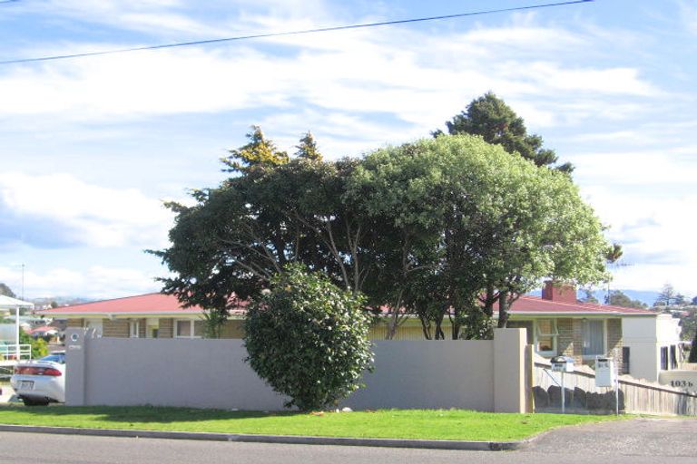 Photo of property in 103a Grange Road, Otumoetai, Tauranga, 3110
