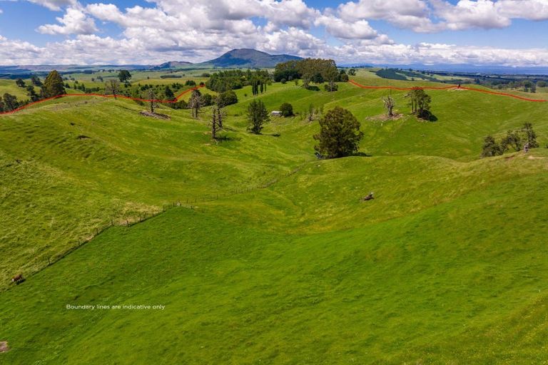 Photo of property in 319 State Highway 2, Mangateretere, Hastings, 4180