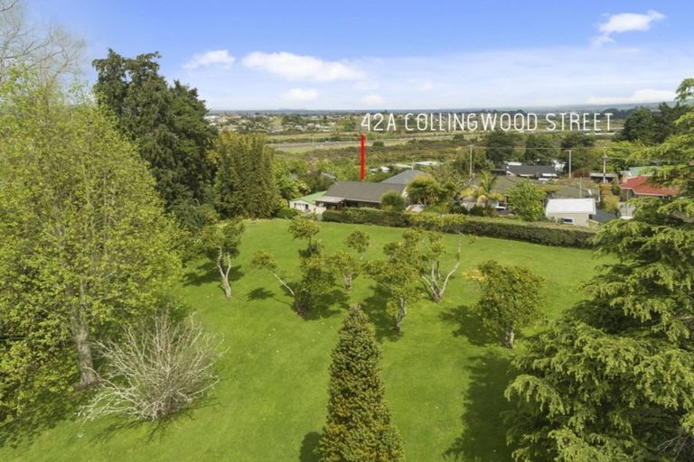 Photo of property in 42a Collingwood Street, Judea, Tauranga, 3110