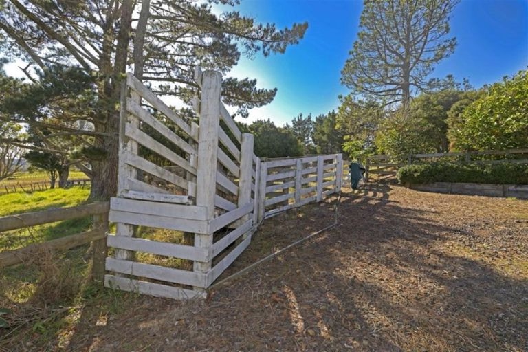 Photo of property in 195 Taiapa Road, Muriwai, Waimauku, 0881