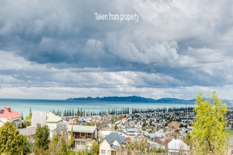 Photo of property in 22 Colenso Avenue, Hospital Hill, Napier, 4110