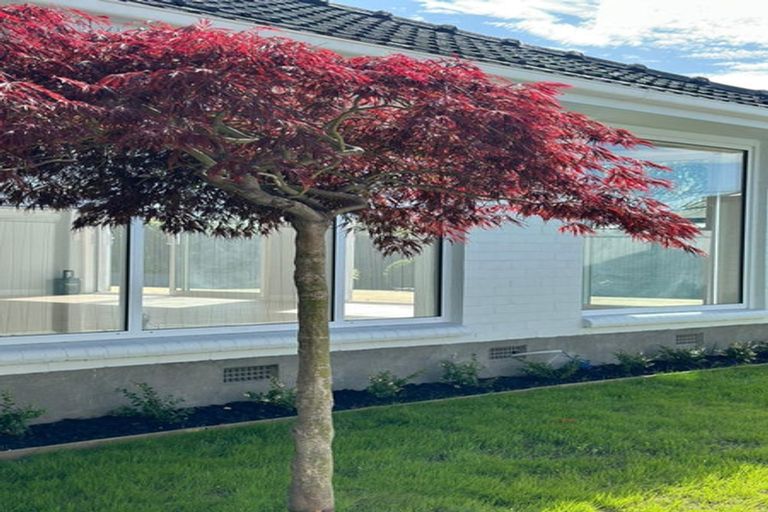 Photo of property in 311 Westminster Street, Mairehau, Christchurch, 8013