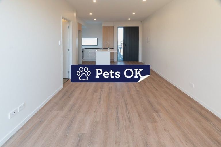 Photo of property in 20 Clay Works Lane, New Lynn, 0600