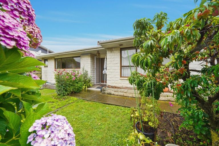 Photo of property in 224 King Street, Rangiora, 7400