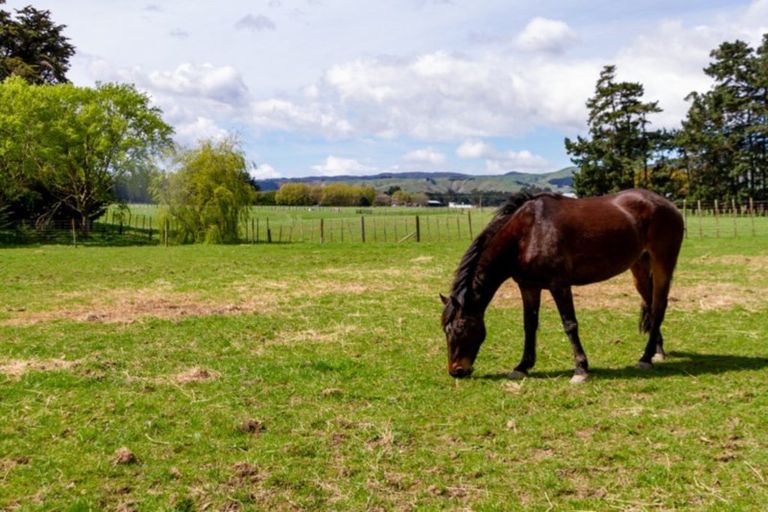 Photo of property in 126 Whitmore Road, Linton, Palmerston North, 4472
