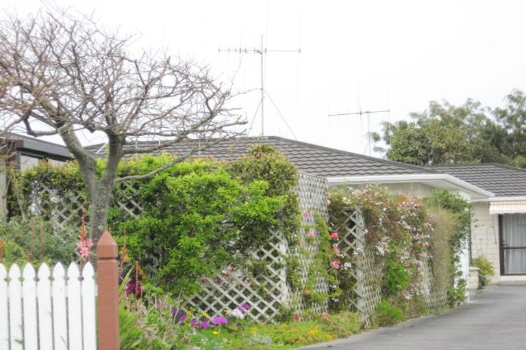 Photo of property in 19c Fergusson Street, Springvale, Whanganui, 4501