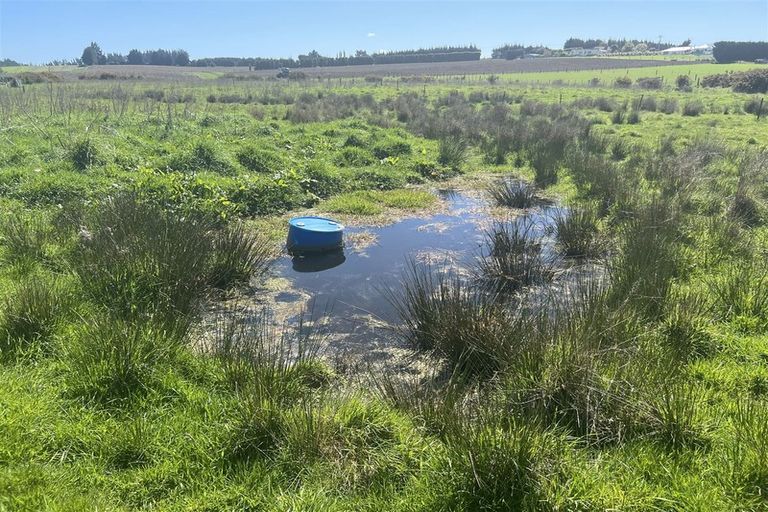 Photo of property in 44 Queen Street, Winton, 9720