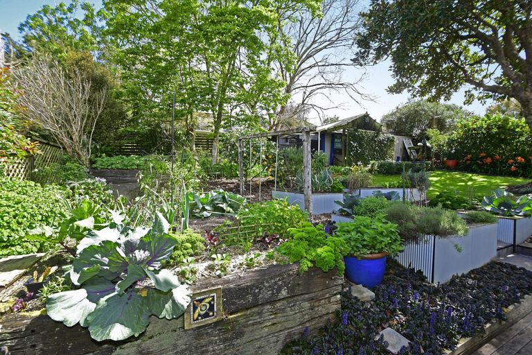 Photo of property in 11a Victoria Street, Warkworth, 0910