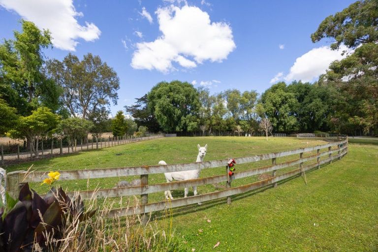 Photo of property in 179 Watershed Road, Bunnythorpe, Palmerston North, 4470